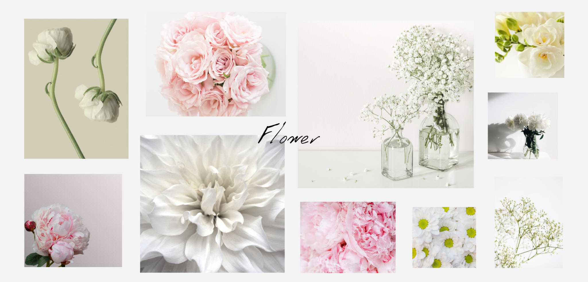 ảnh bìa thịnh vượng