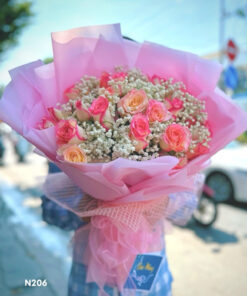 Bo-Hoa-N206