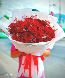 Bo-Hoa-N208