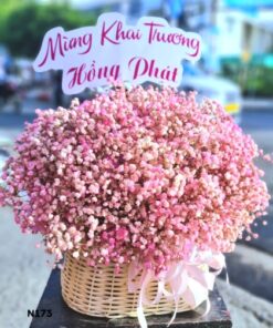 Giỏ Hoa – N173