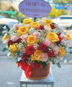 Gio-Hoa-N217