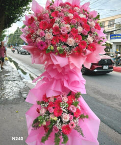 Ke-Hoa-N240