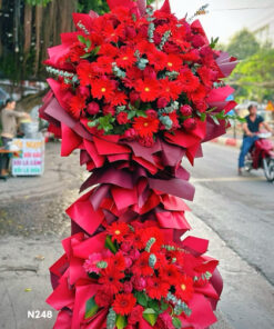 Ke-Hoa-N248