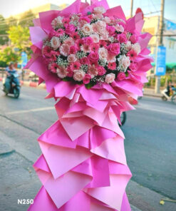 Ke-Hoa-N250